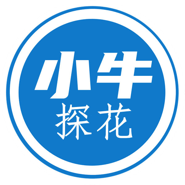 牛哥网络