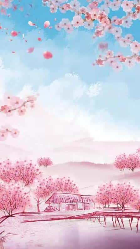 故乡·桃花 - 牛哥网络