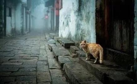 故乡·家人·二舅家 - 牛哥网络