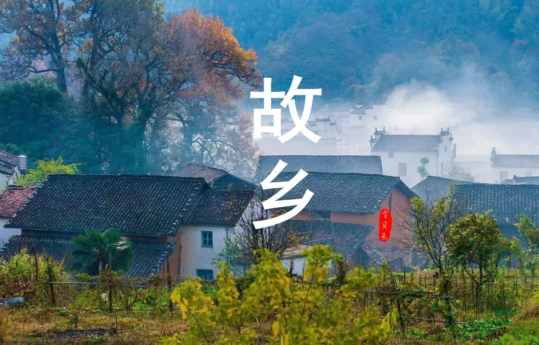 故乡·家人·小舅家 - 牛哥网络
